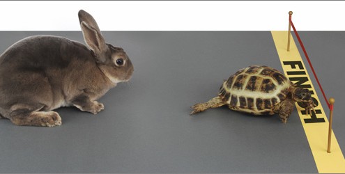 Tortoise and the Hare