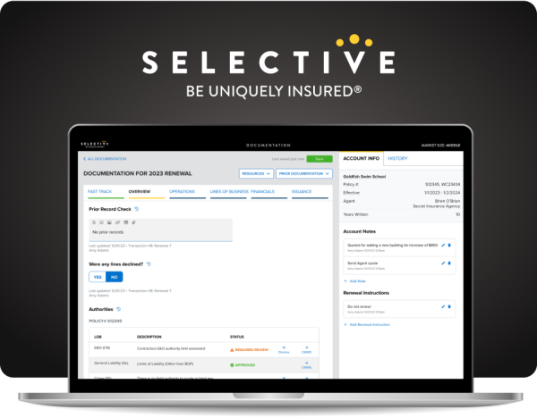 Selective Insurance Documentation